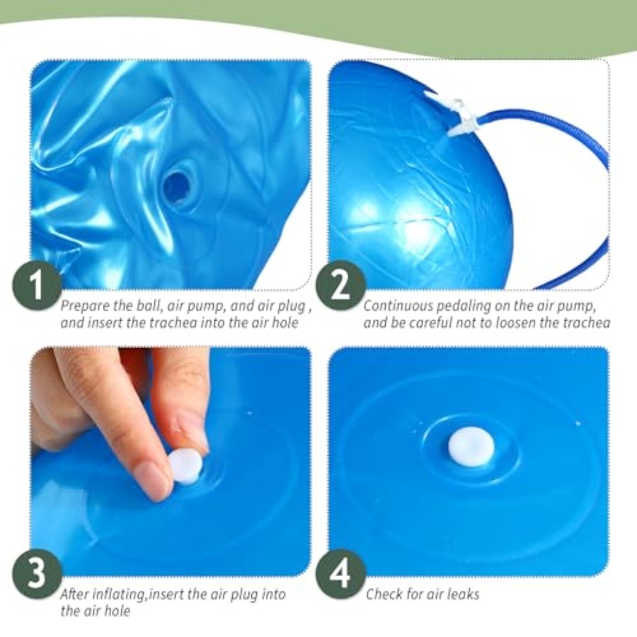 6 Pack Exercise Ball Bulk Infl - Pilates Yoga Ball Workout ulasan dan harga